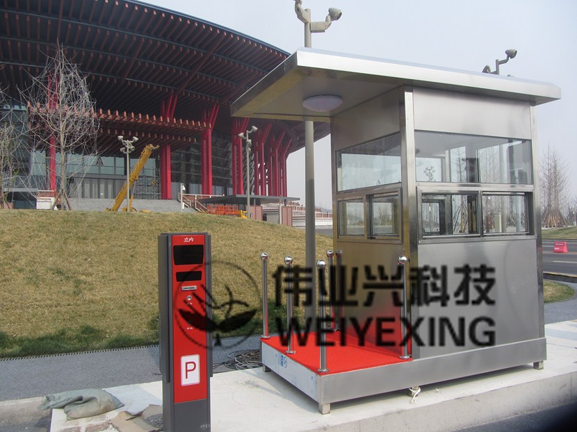 ����ָ�ͤWYX-008